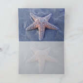 ヒトデ半浸漬カード カード (内部)