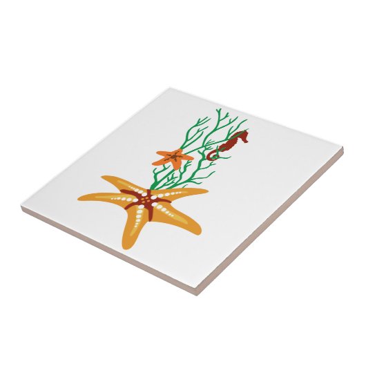 ヒトデ及びヒラメ タイル (側面)