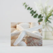 ヒトデ及び貝葉書 ポストカード (スタンド正面)