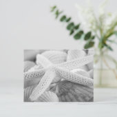 ヒトデ及び貝類の白黒はがき ポストカード (スタンド正面)