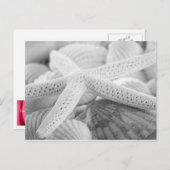 ヒトデ及び貝類の白黒はがき ポストカード (正面/裏面)