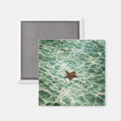 ヒトデ島磁石 マグネット (正面/裏面)