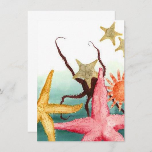 ヒトデ救出物語空白の発表招待状 招待状 (正面/裏面)