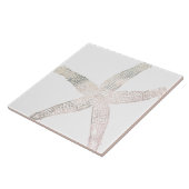 ヒトデ沿岸ビーチグレー 灰色 白 大型 装飾 タイル (側面)