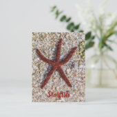 ヒトデ海ヴィンテージビーチレトロお土産 シーズンポストカード (スタンド正面)