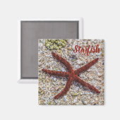 ヒトデ海ヴィンテージビーチレトロお土産 マグネット (正面/裏面)