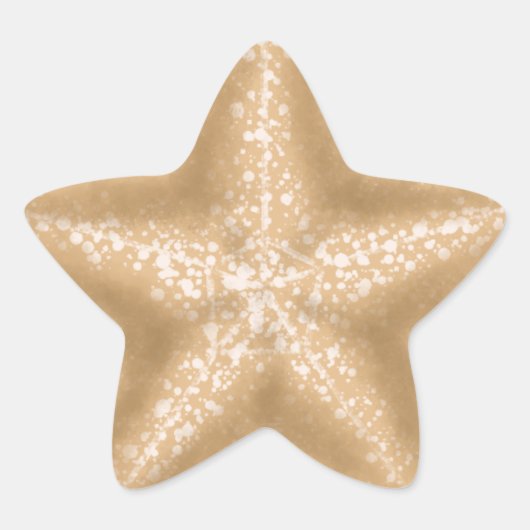 ヒトデ熱帯結婚封筒用シールシール 星シール (正面)