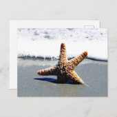 ヒトデ独身のが岸に打ち上げられた ポストカード (正面/裏面)