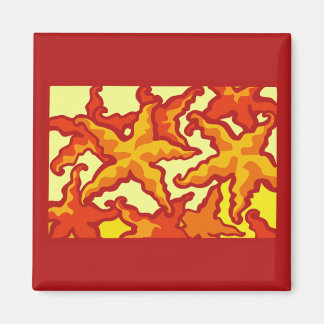 ヒトデ組成物 マグネット