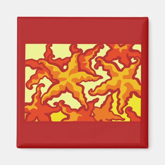 ヒトデ組成物 マグネット (正面)