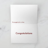 ヒトデ、あなたは星! カード (内部)