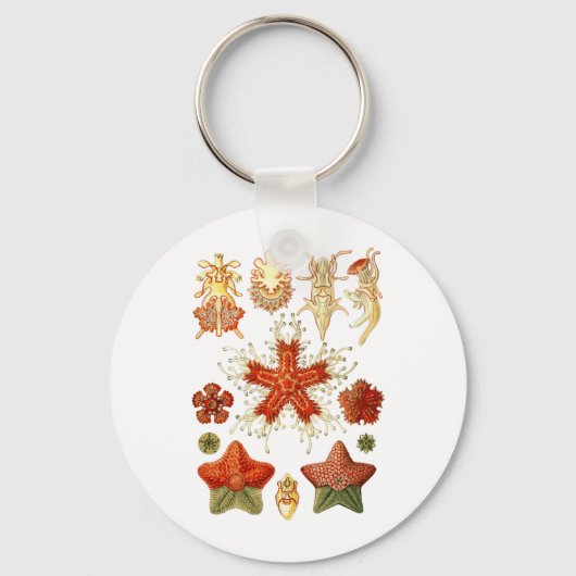 ヒトデ キーホルダー (正面)