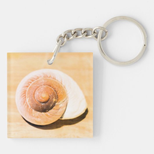 ヒトデ キーホルダー (裏面)