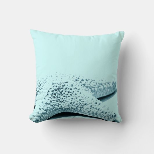 ヒトデ クッション (正面)