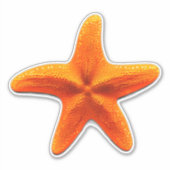 ヒトデ シール (正面)