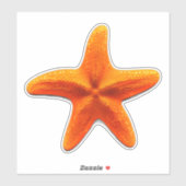 ヒトデ シール (シート)