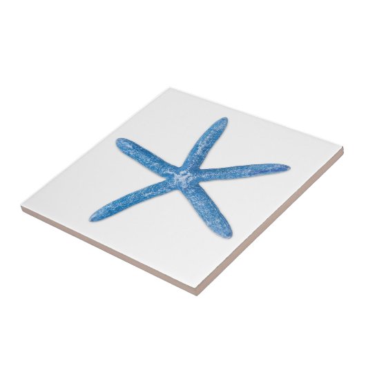 ヒトデ タイル (側面)