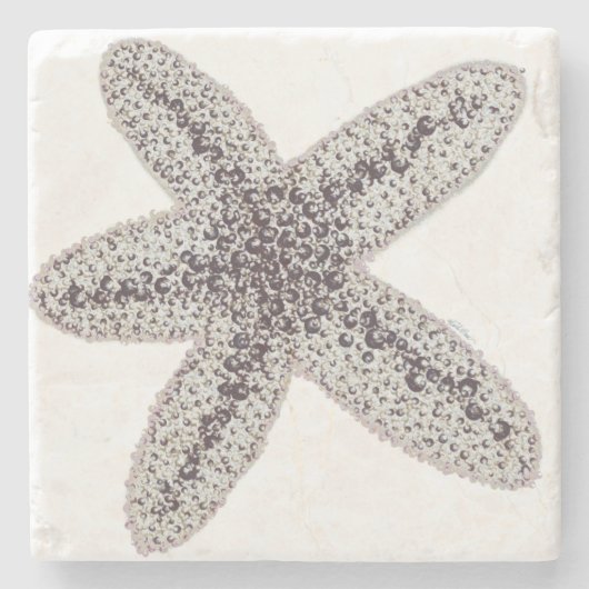 ヒトデ-ニュートラル ストーンコースター (正面)