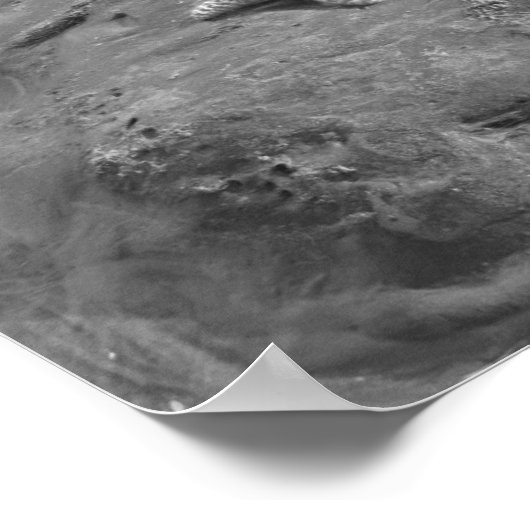 ヒトデ ポスター (角)