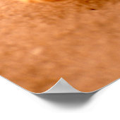 ヒトデ ポスター (角)