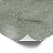 ヒトデ ポスター (コーナー)