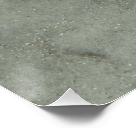 ヒトデ ポスター (コーナー)