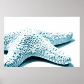 ヒトデ ポスター (正面)