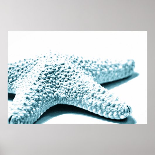 ヒトデ ポスター (正面)