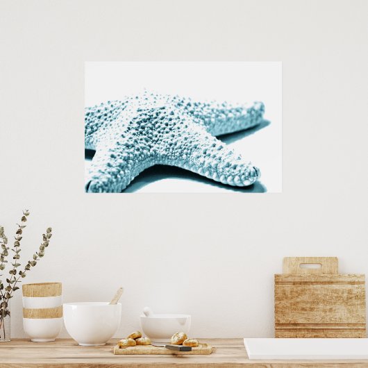 ヒトデ ポスター (キッチン)