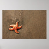 ヒトデ ポスター (正面)