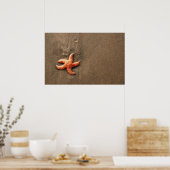 ヒトデ ポスター (キッチン)