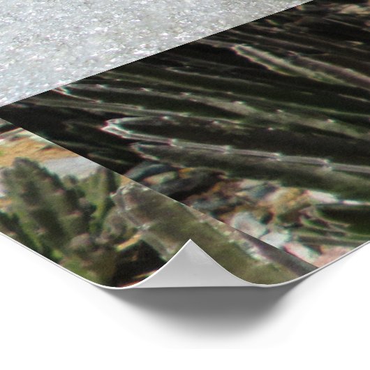 ヒトデ ポスター (角)