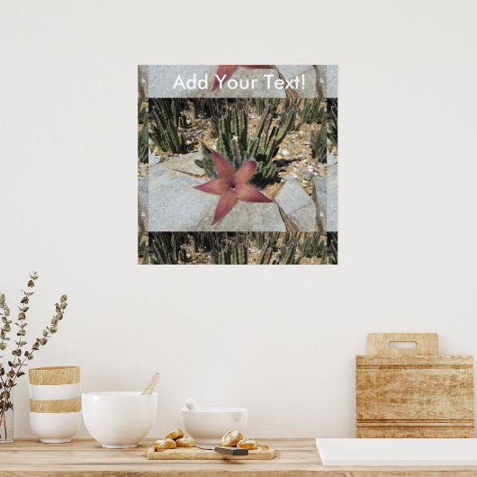 ヒトデ ポスター (キッチン)