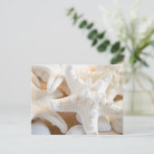 ヒトデ ポストカード (スタンド正面)