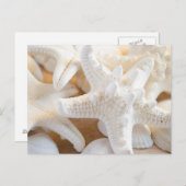 ヒトデ ポストカード (正面/裏面)