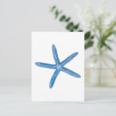 ヒトデ ポストカード (スタンド正面)