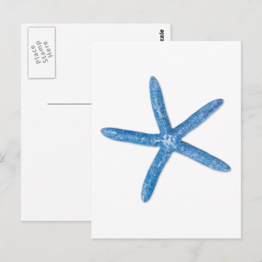 ヒトデ ポストカード (正面/裏面)