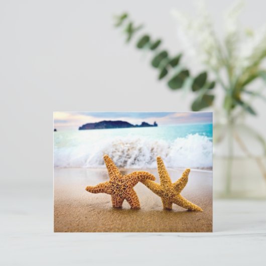 ヒトデ ポストカード (スタンド正面)