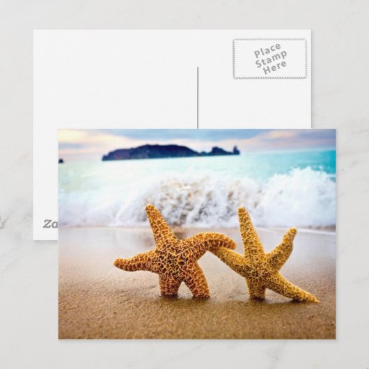 ヒトデ ポストカード (正面/裏面)