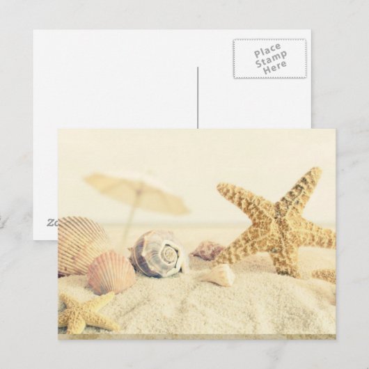 ヒトデ ポストカード (正面/裏面)