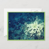 ヒトデ ポストカード (正面/裏面)