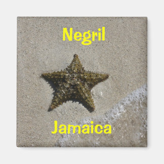 ヒトデ マグネット