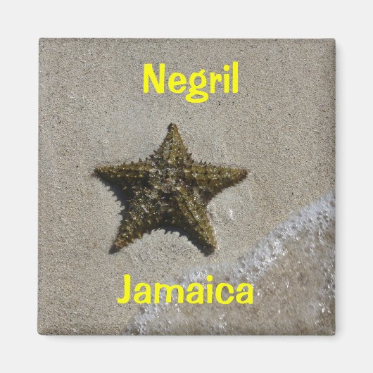 ヒトデ マグネット (正面)