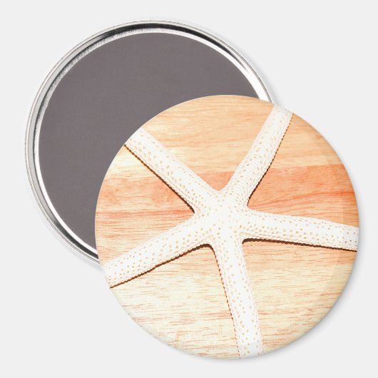 ヒトデ マグネット (正面/裏面)