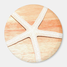 ヒトデ マグネット