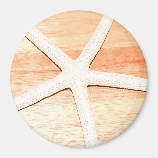 ヒトデ マグネット (正面)