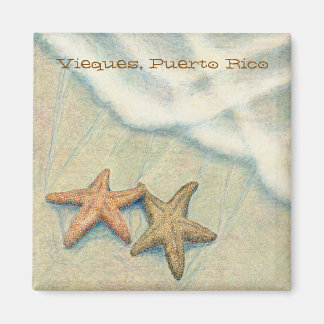 ヒトデ マグネット