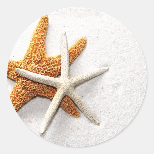 ヒトデ ラウンドシール (正面)