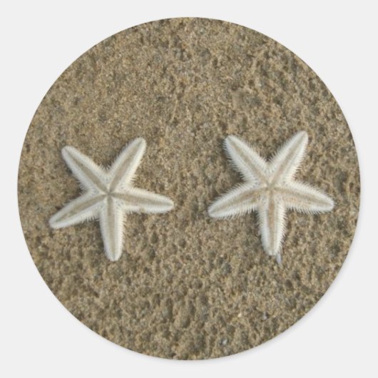 ヒトデ ラウンドシール (正面)