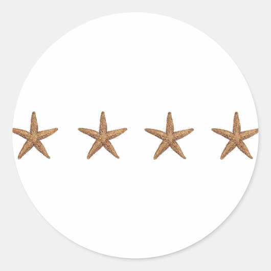 ヒトデ – 北シースター ラウンドシール (正面)